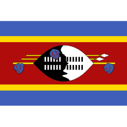 Download free flag swaziland icon